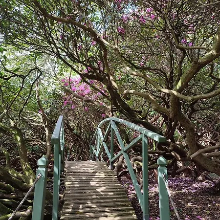 Manoir De 3* Daubeuf-Serville