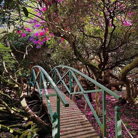 Couette-café Manoir De 3*