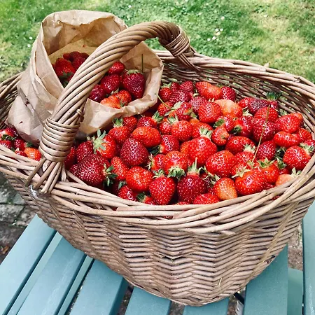 Manoir De Bed & Breakfast