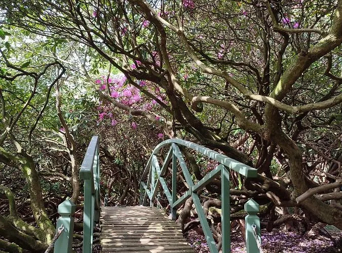 Manoir De 3* Daubeuf-Serville