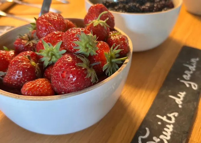 Manoir De Nocleg ze śniadaniem Daubeuf-Serville