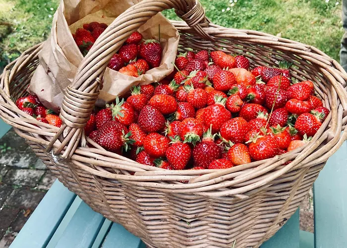 Manoir De Nocleg ze śniadaniem